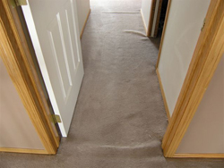 Carpet Repairs - carpet restretching santa rosa