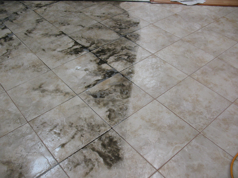 Tile & Grout Cleaning - tile grout cleaning santa rosa